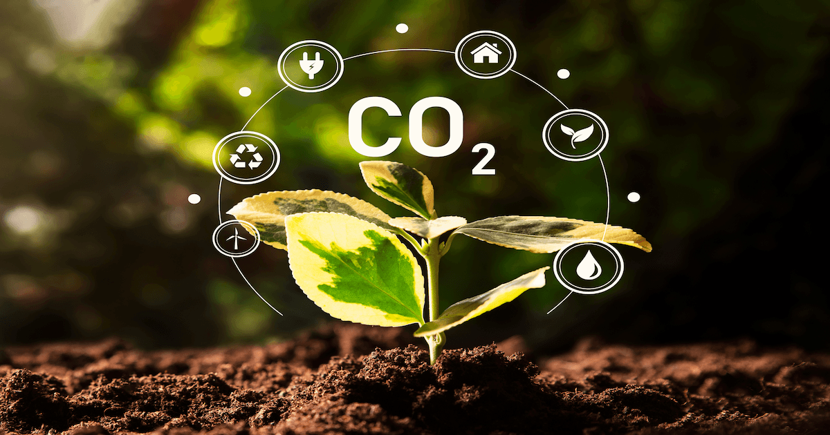 Pegada de carbono: o que é e como reduzir seu impacto ambiental
