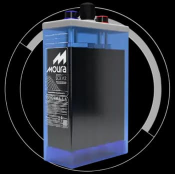 MFV